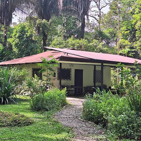 Four Monkeys Eco Lodge Jungle & Beach - The House Cabo Matapalo Eksteriør bilde
