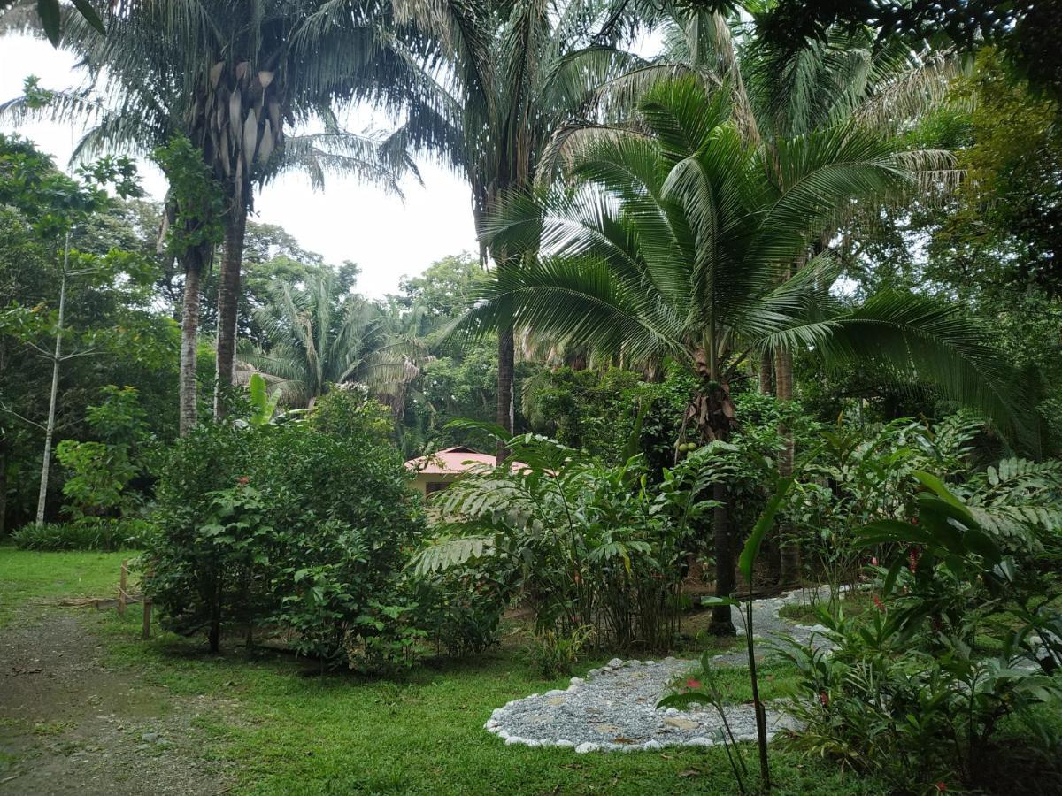 Four Monkeys Eco Lodge Jungle & Beach - The House Cabo Matapalo Eksteriør bilde