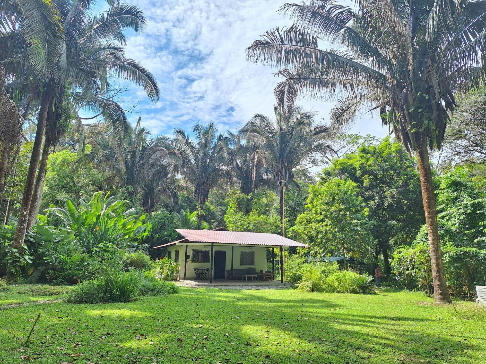 Four Monkeys Eco Lodge Jungle & Beach - The House Cabo Matapalo Eksteriør bilde